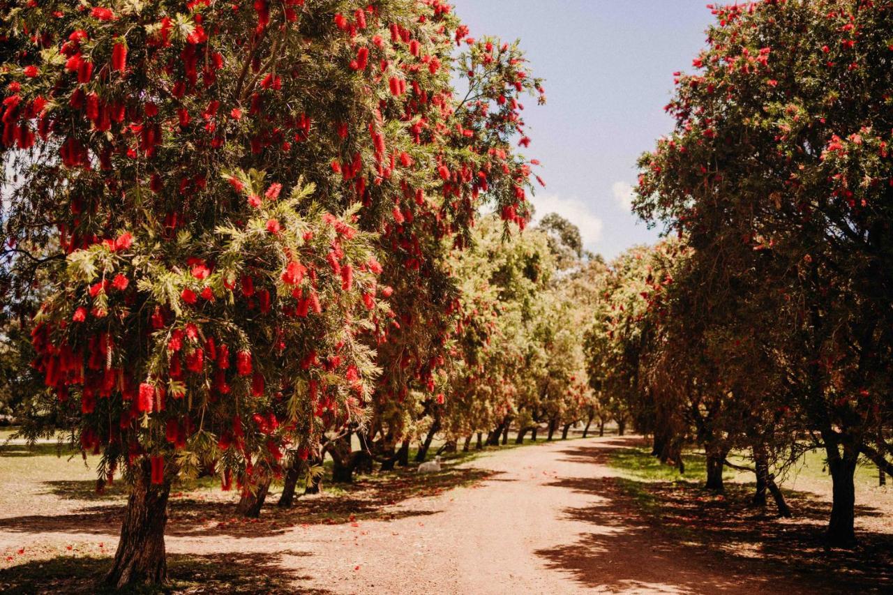 Margaret River Holiday Cottages Exterior foto